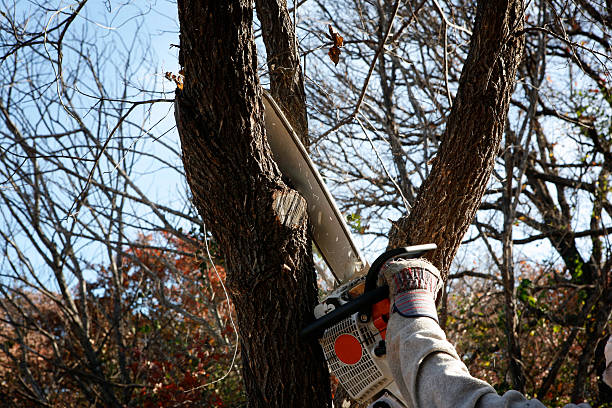 Mulching Services in Glen Cove, NY